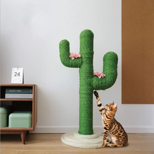 Super Cute New Cactus Best Cat Climbing Tree