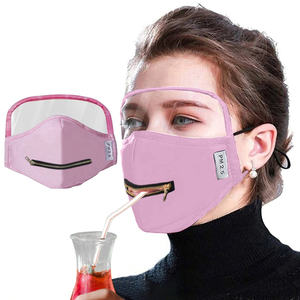 Adult Cotton Zipper Opening Design Outdoor Protective Face Mask With Eyes Shield - DreamTreeTech