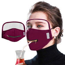 Load image into Gallery viewer, Adult Cotton Zipper Opening Design Outdoor Protective Face Mask With Eyes Shield - DreamTreeTech