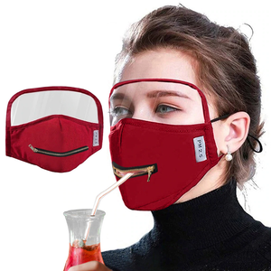 Adult Cotton Zipper Opening Design Outdoor Protective Face Mask With Eyes Shield - DreamTreeTech