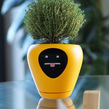 Load image into Gallery viewer, The Best Smart Planter Pot with Emotions - DreamTreeTech - High Quality Technology Products at Unbeatable Prices