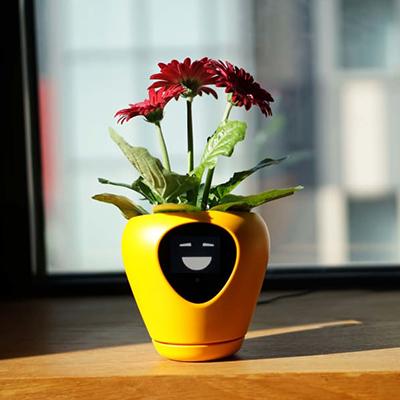 The Best Smart Planter Pot with Emotions - DreamTreeTech - High Quality Technology Products at Unbeatable Prices